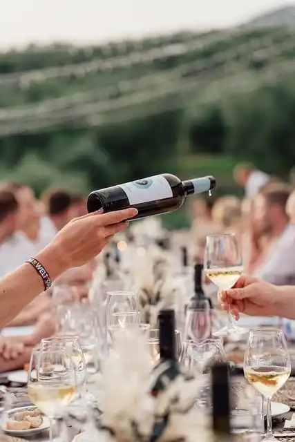 Hundreds share lunch at quirky NYC party where the table is as long as a city block