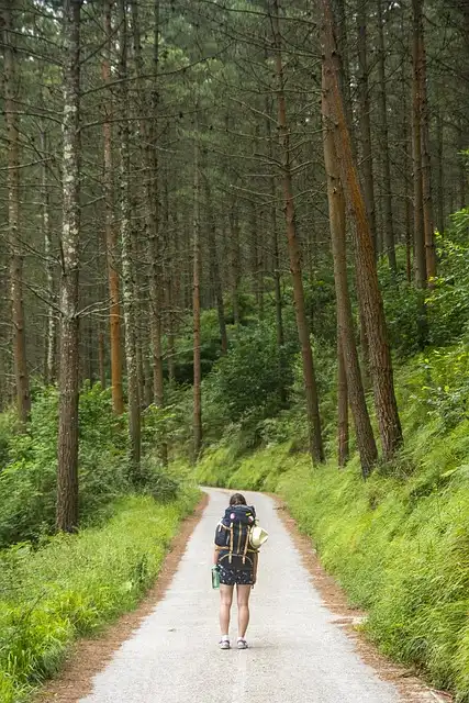 Nature’s Cure: Walking Holidays for Wellbeing & Sustainability