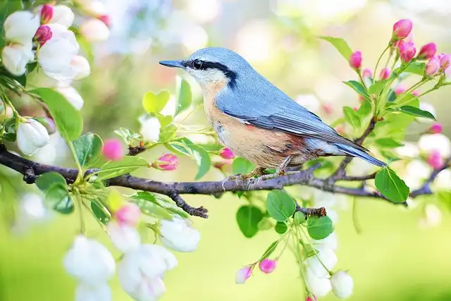 Nature’s Rights: Music & Legal Recognition for Ecosystems