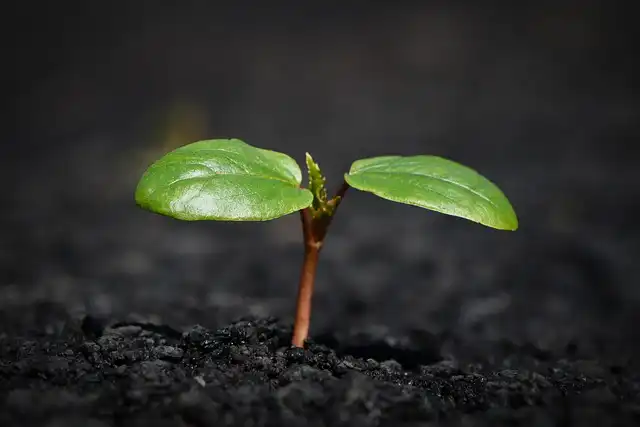 Positive News: Environment, Health & Global Progress