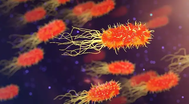 Jill’s Genetic Journey: Mutation, Marriage, and Scientific Impact