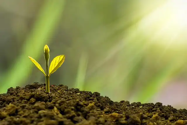 Fair Trade Impact: Empowering Communities & Sustainable Business