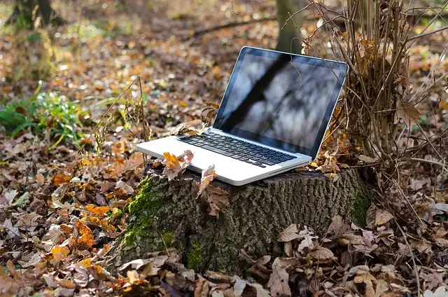 Uplifting News & Talking Trees: Positive Media & Nature Connection