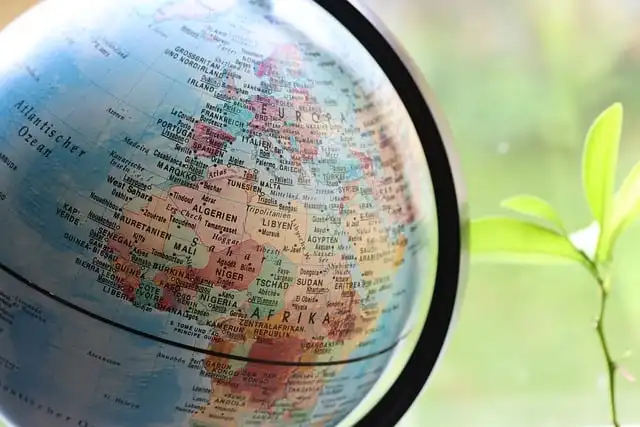 Positive Progress: Breakthroughs in Health, Nature, and Workers’ Rights