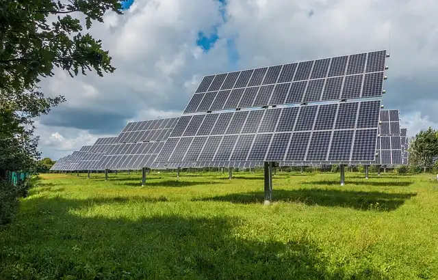 Global Conservation Wins: Mangroves, Marine Life & Renewable Energy Surge